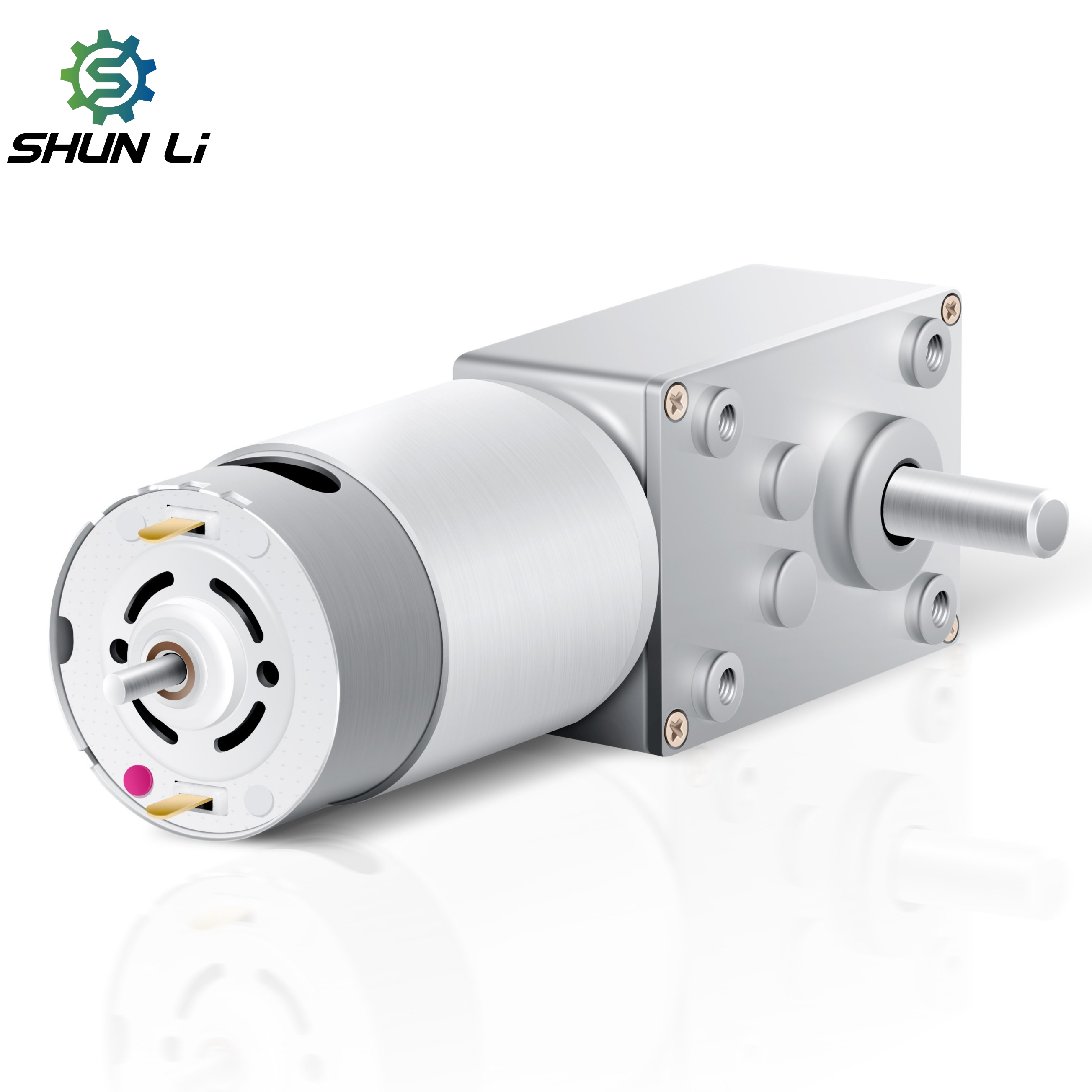 High Torque Low Rpm 12v Brushless Brush Dc Motor with Worm Gearbox Dc Gear Motor Mini for Dc Motor