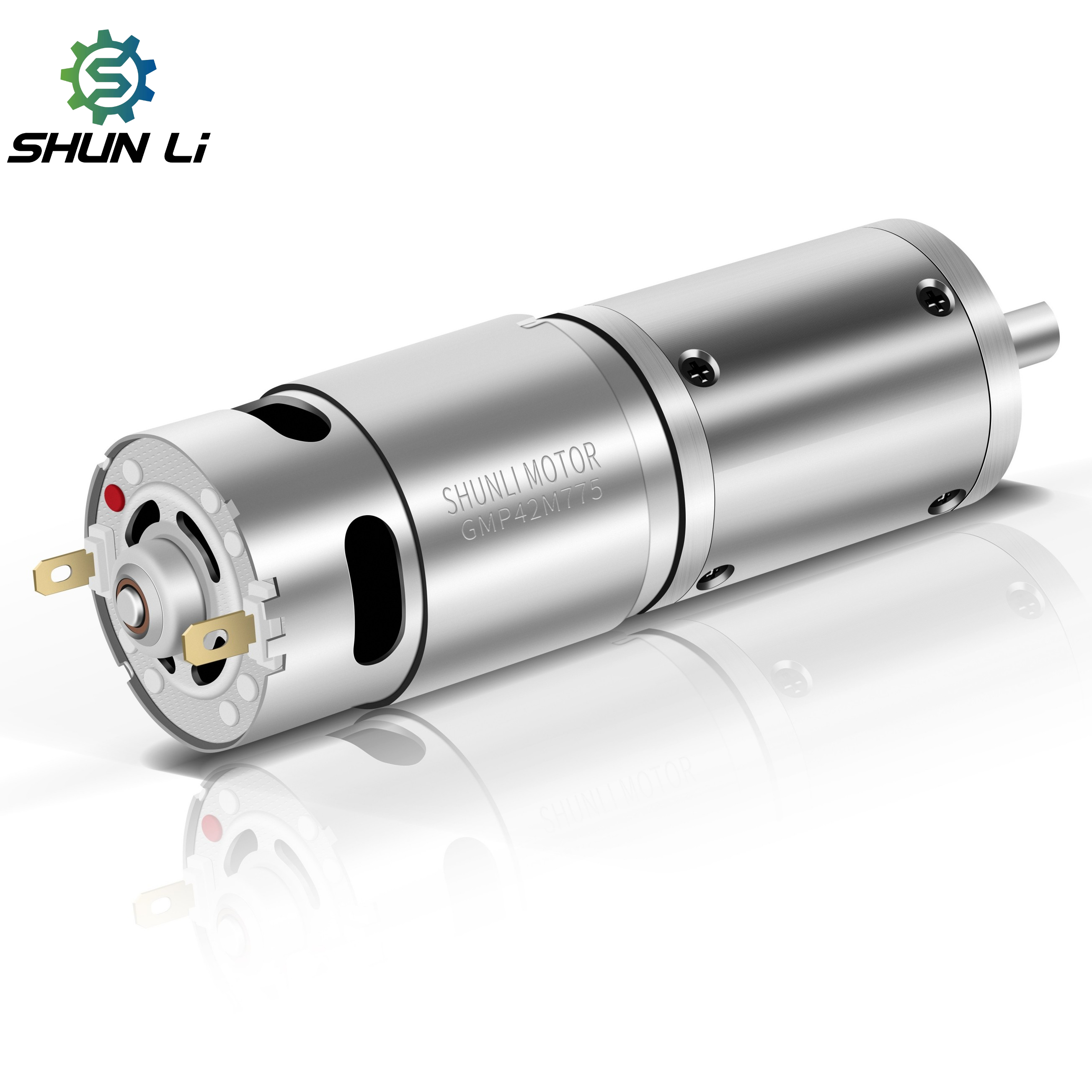 42mm Dc Gear Planetary Motor with Gearbox Rs-755 Micro Gear Motor Dc 12v 24v for Robot Joint