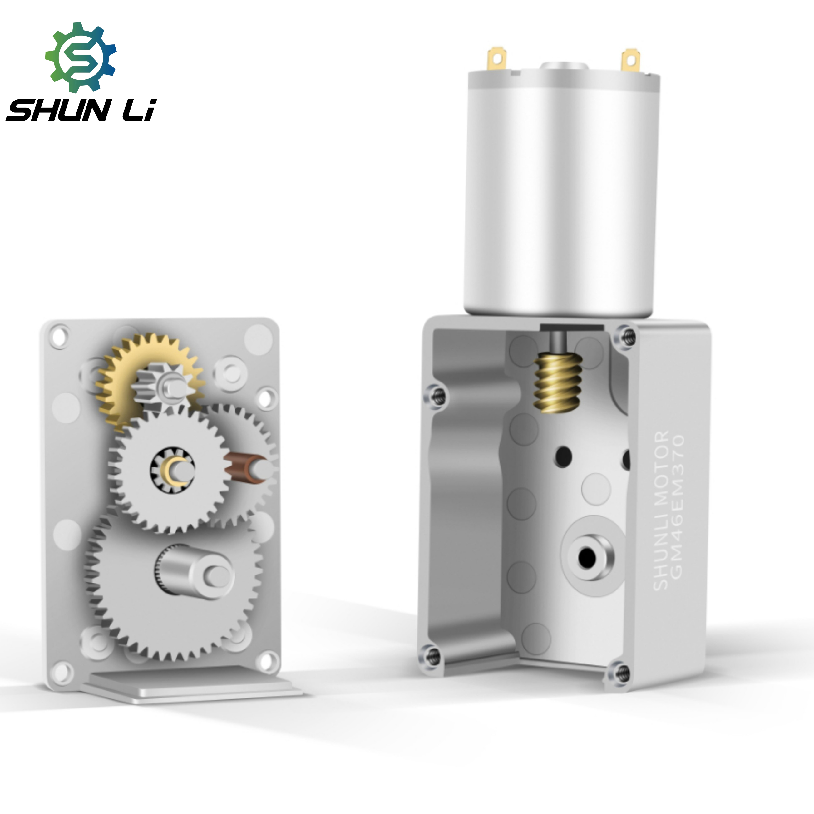 Shunli Custom Vibrator Motor 6V 12V 24V 36V 1RPM 50RPM Brush Permanent Magnet Pellets Stove Gear Motor Worm for Smart Pet Feeder