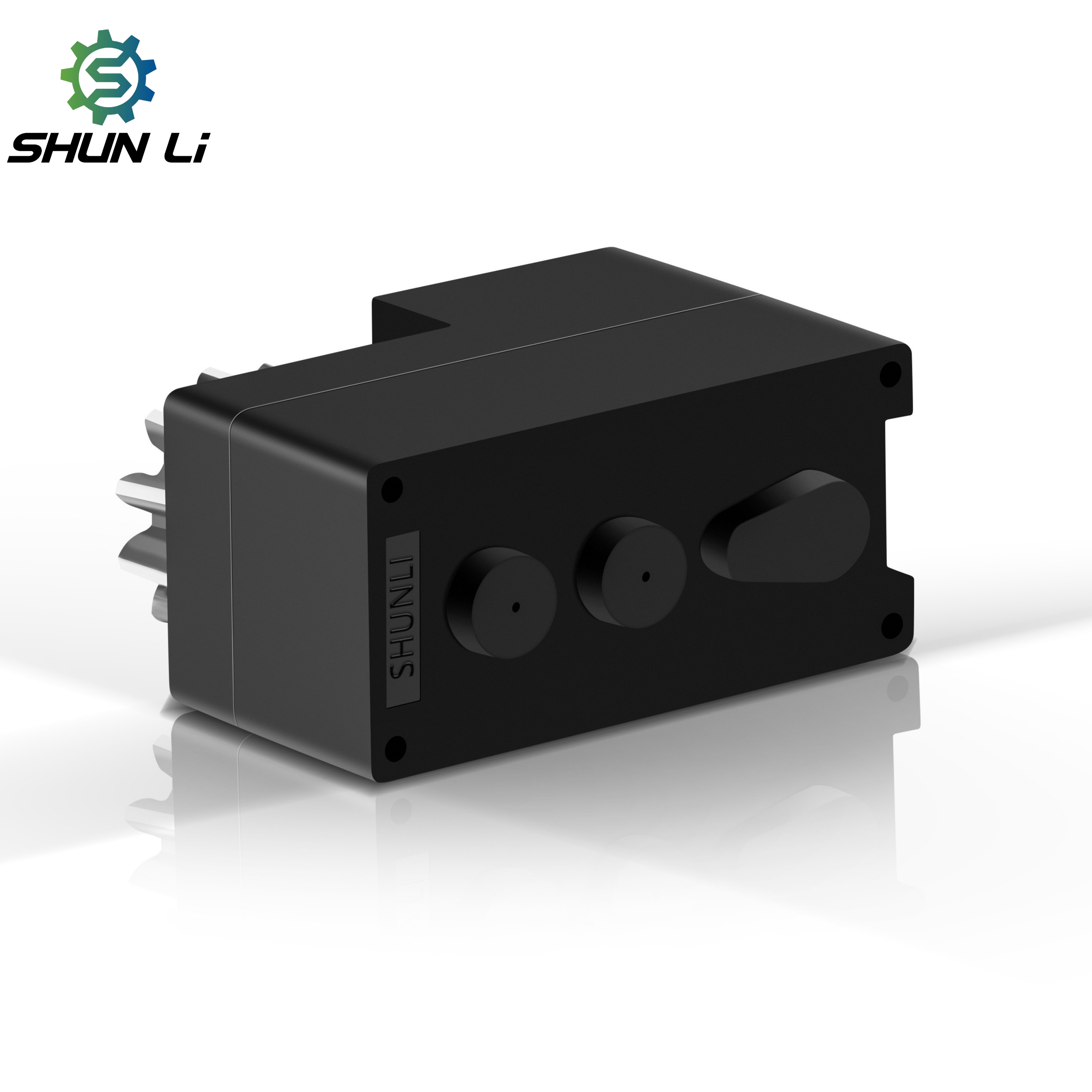 Shunli Dc Motor 3v 4.5v 6v Mini Dc Gear Motor Low Rpm 30rpm 60rpm 100rpm 2KG.CM Max Micro Dc Gear Motor for Smart Lock