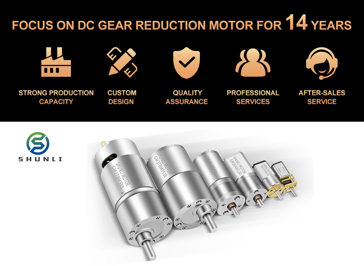 Shunli Custom 3.7 Volt 12v Dc Reduction Gear Micro Motor of High Torque Diameter of the Reduction Gear Box 13mm for Gas Valve