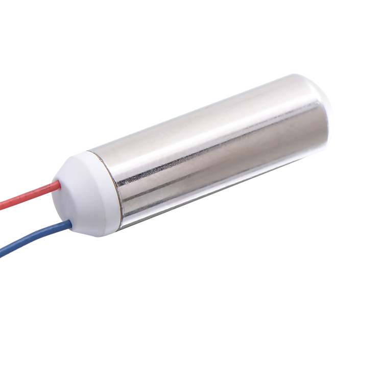 Low Rpm 2.4v 3.7v 5v Dc Electric Mini Vibration Motor for Beauty Apparatus and Motors for Sexual Vibrators