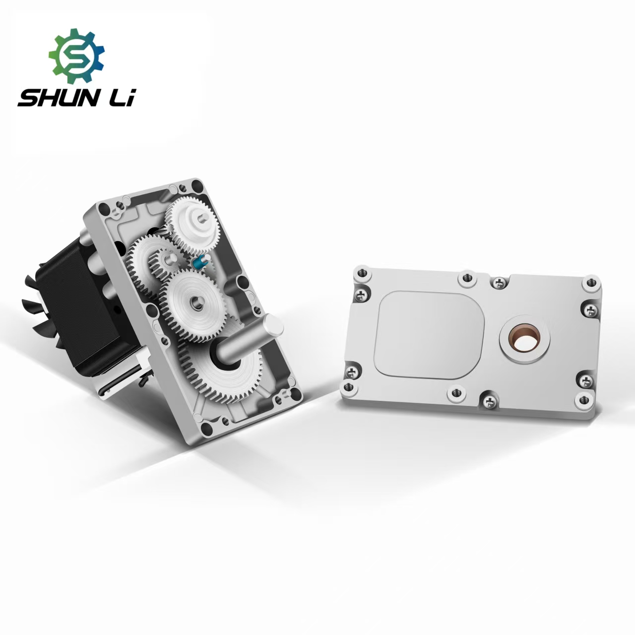 220 Volt Ac Electric Gear Reducer Motors for Fireplace/Meat Chopper/Ice Maker Asynchronous Motor 50/60hz