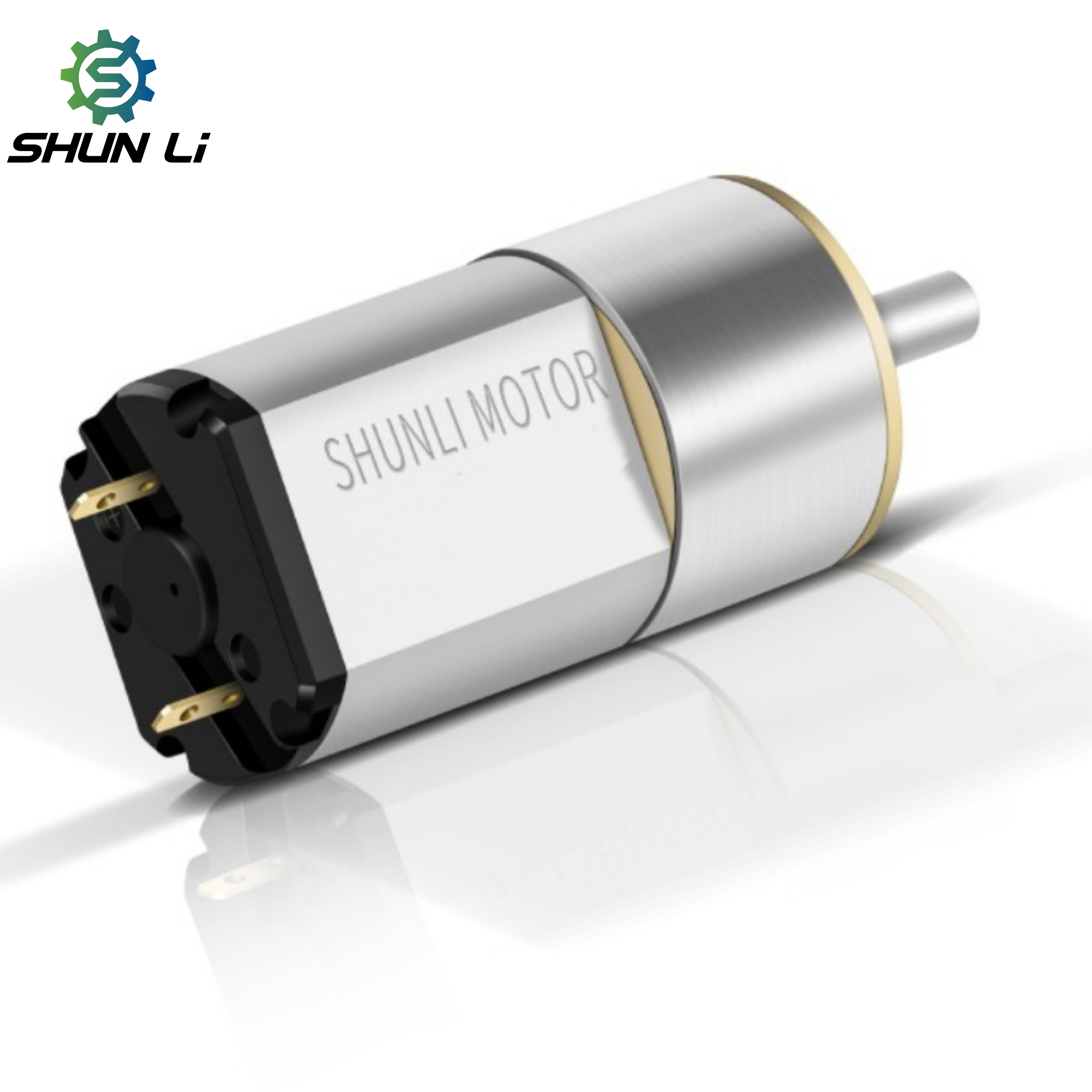 Shunli Custom 3.7 Volt 12v Dc Reduction Gear Micro Motor of High Torque Diameter of the Reduction Gear Box 13mm for Gas Valve