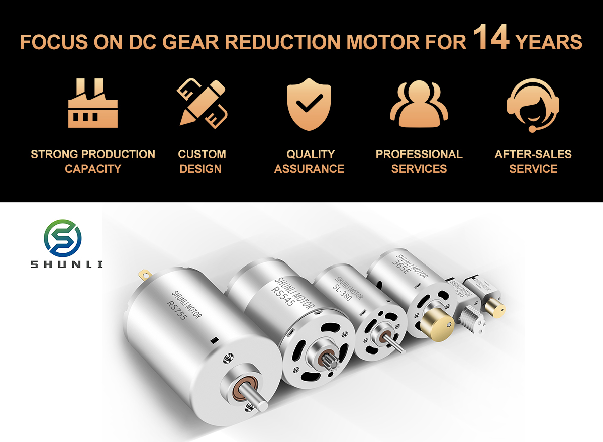 Custom Professional Manufacturer Hair Dryer and Micro Vacuum Cleaner 390PH 12v Dc Motor Brush Brushless