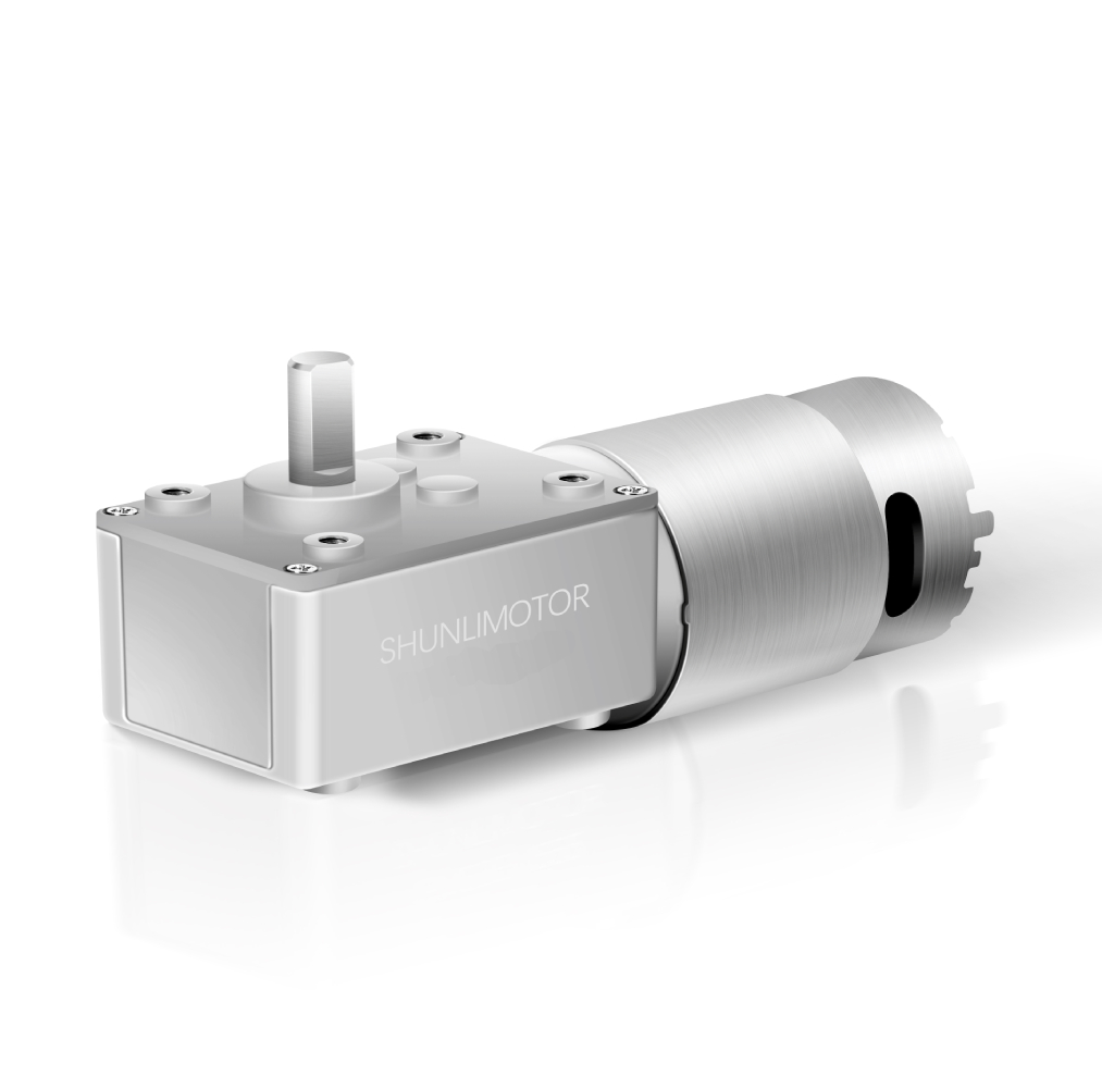 DC15W Micro Gear Motor Dual Shaft Single Shaft Worm Speed Adjustable DC Motor with Reduction 12V 90 Degree 12 V Dc Motor Brush
