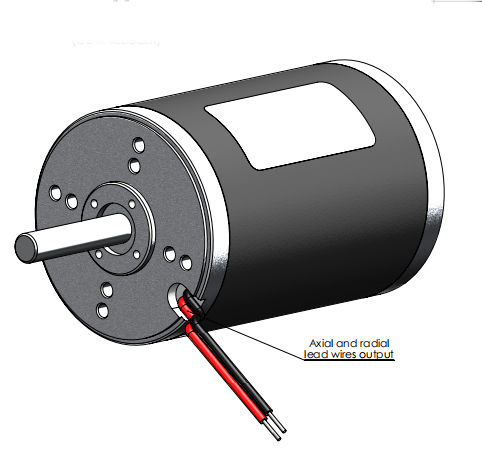 Electric Pmdc 12v Dc Motor 63ZYT High Torque Big Power 3000rpm Micro Motor Shunli Motor Permanent Magnet 48w IE 1