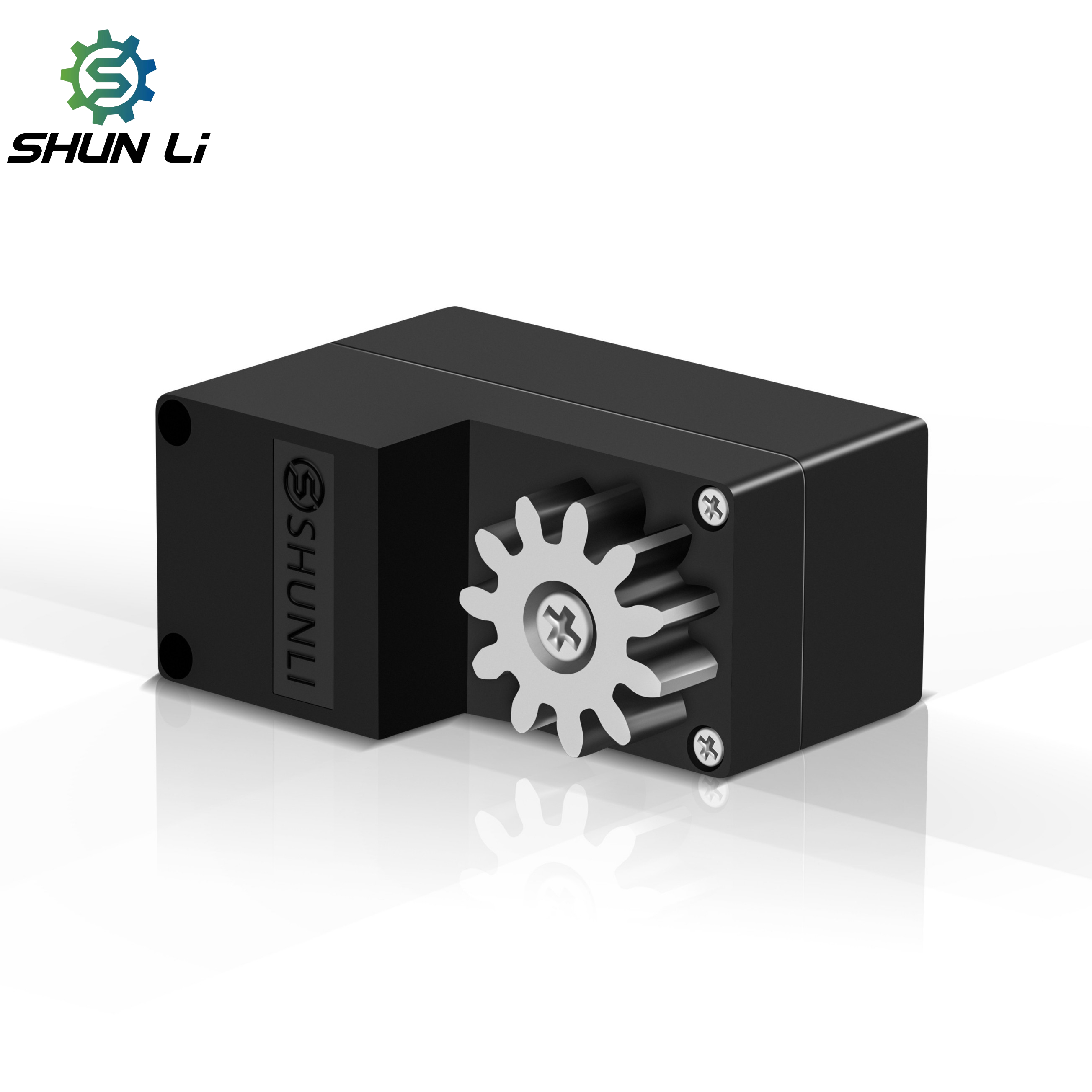 Shunli Factory Customize for Lock Electric Dc Gear Motor 6v 10v 12v Small Dc Motor for Smart Lock