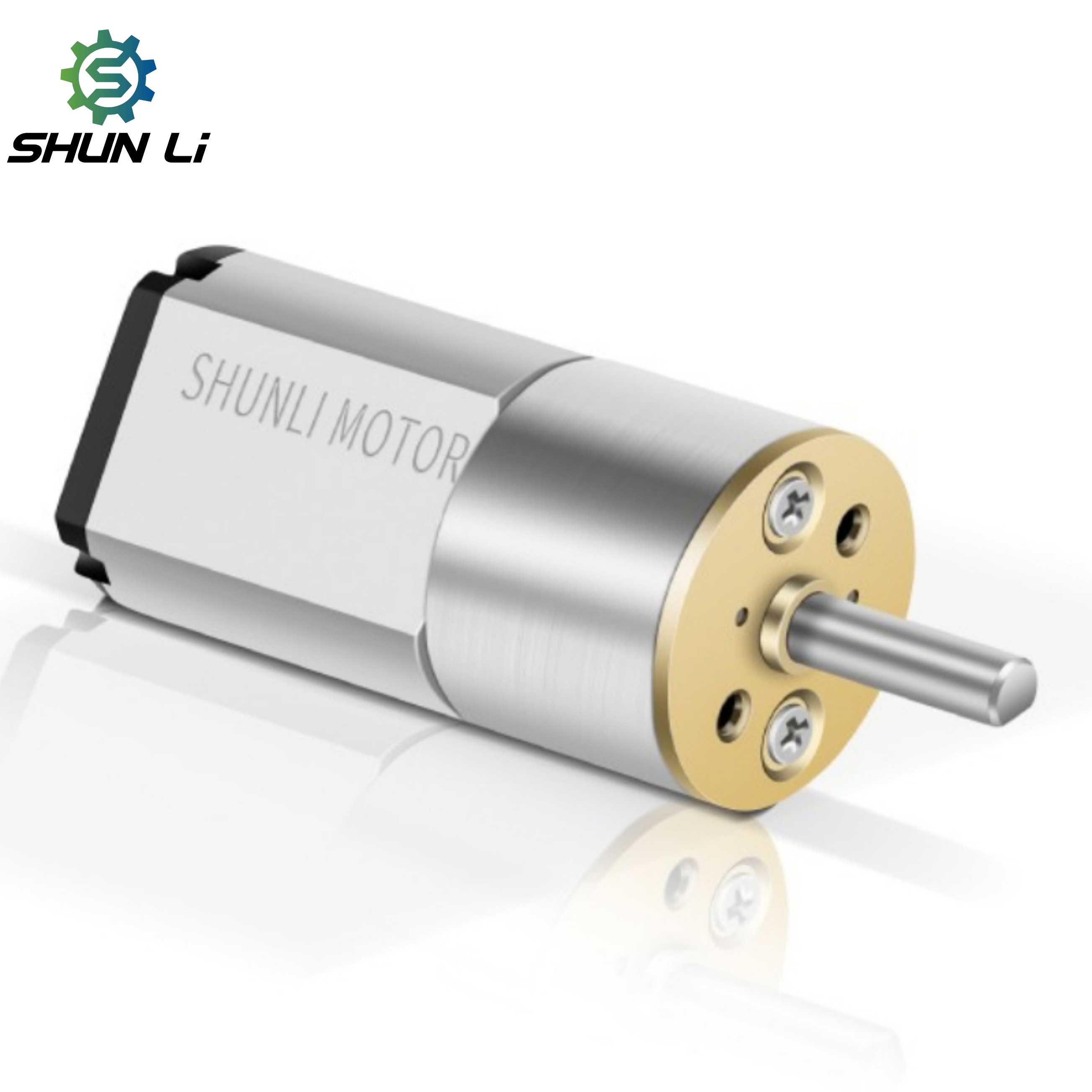 Shunli Custom 3.7 Volt 12v Dc Reduction Gear Micro Motor of High Torque Diameter of the Reduction Gear Box 13mm for Gas Valve