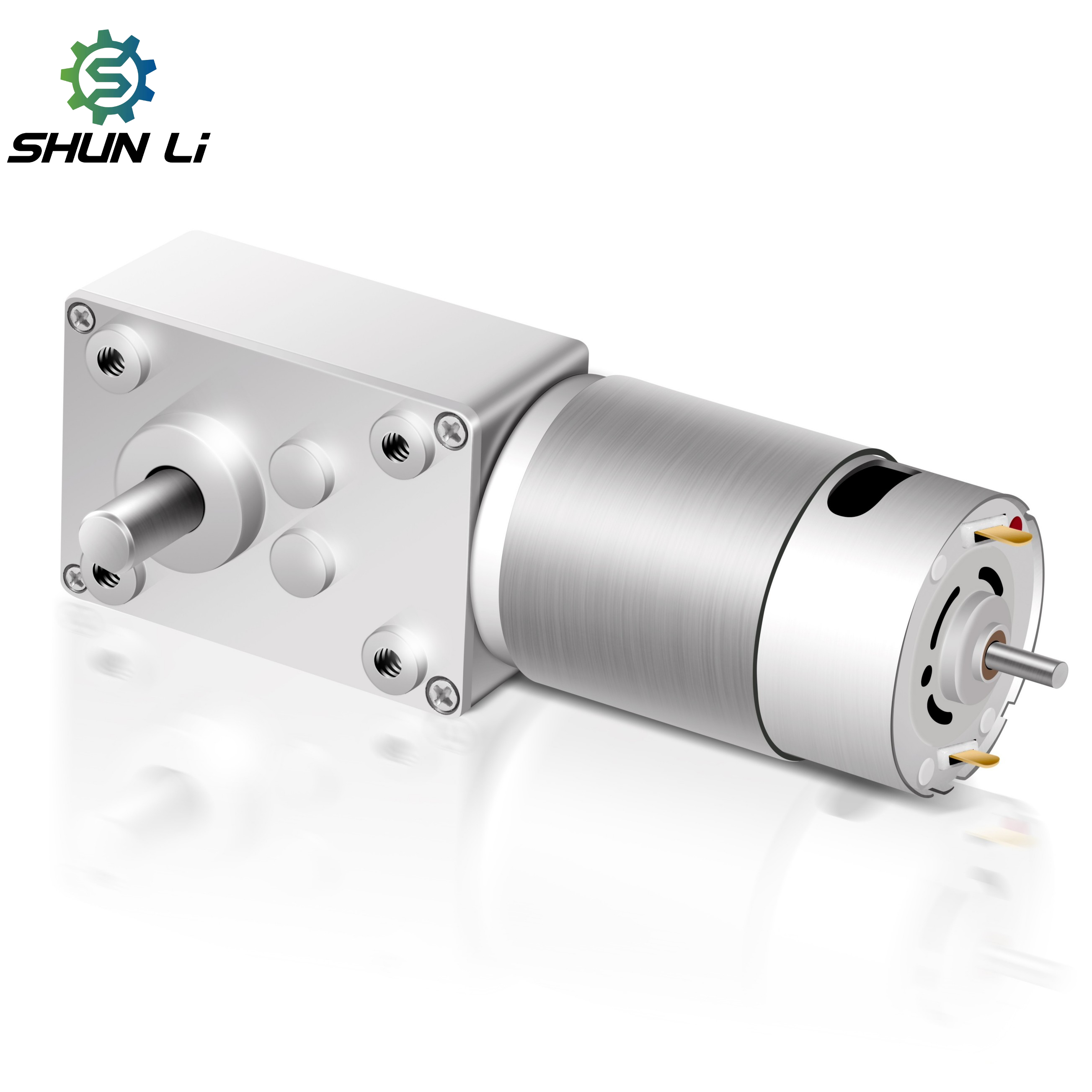 12v 24v Power High Torque 0.2N.M Low Rpm 5rpm 50rpm Dc Worm Gear Motor Dual Shaft for Vending/transfer/coffee Machine