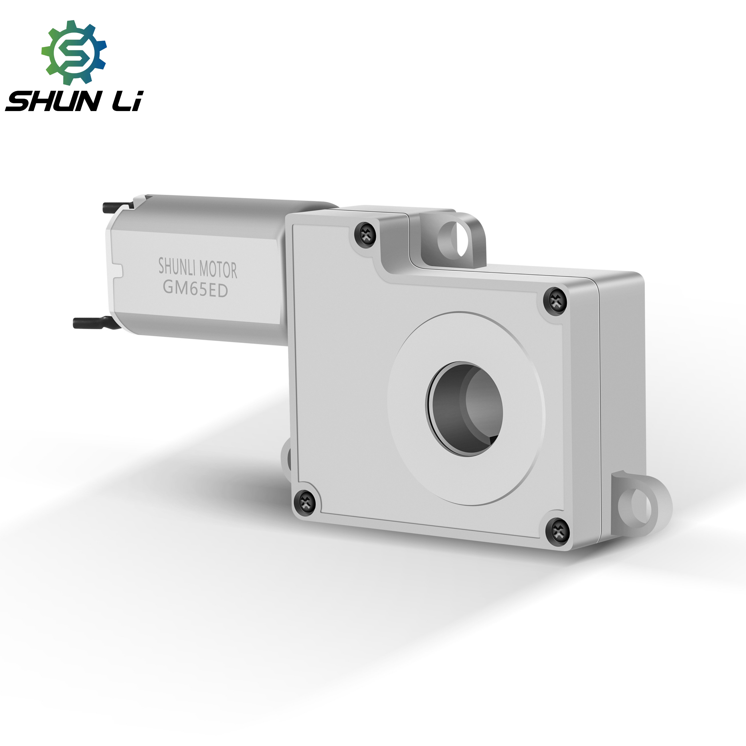 Shunli Automatic Lock Motor 3V 6V 12V 70RPM 85RPM High Torque Dc Motor 3KG.CM Electric Dc Gear Motor for Smart Lock