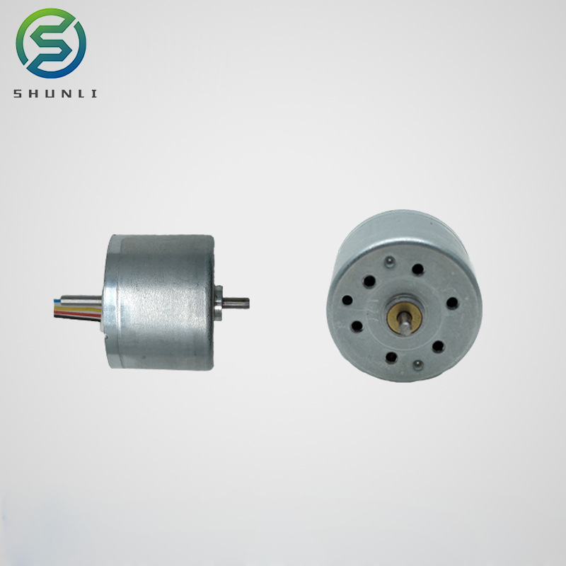Micro Brushless Dc Motor for Fan/hair Dryer/rc Plane/vacuum Cleaner 6V 12v 24V High Speed 10000rpm Round Permanent Magnet 18mm