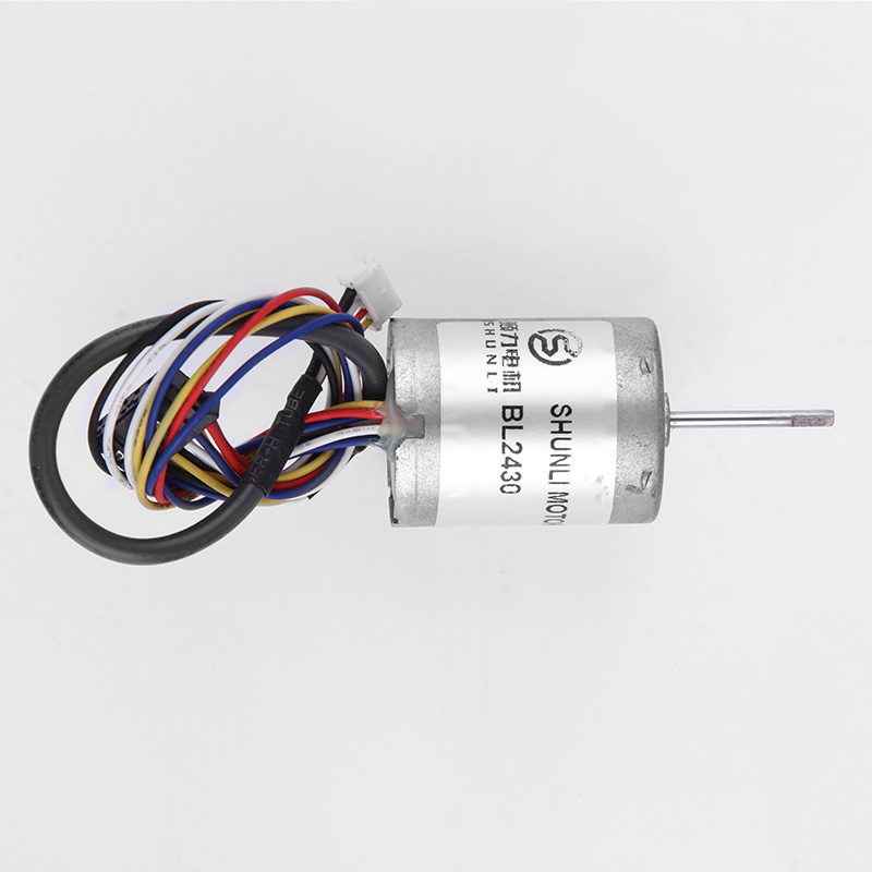 BL Dc Electric Shaver Brushless Planetary Gear Motor Bl2430 Micro Motor CAR Permanent Magnet FAN Boat