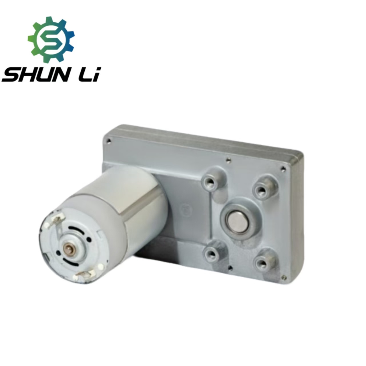 Shunli Custom Dc Micro Gear Motor 32Rpm 65RPM 12v 24v With Ratio 1:640 6N.m With a Lawn Mower