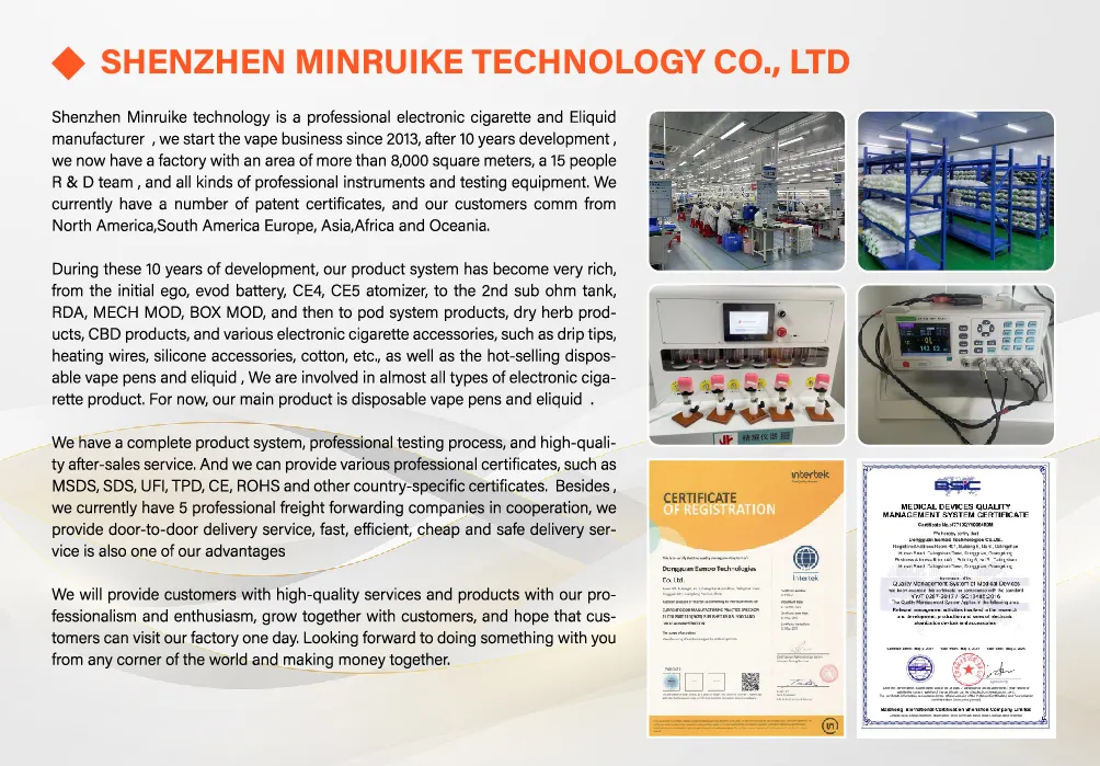 Company Office and Production Line View 2