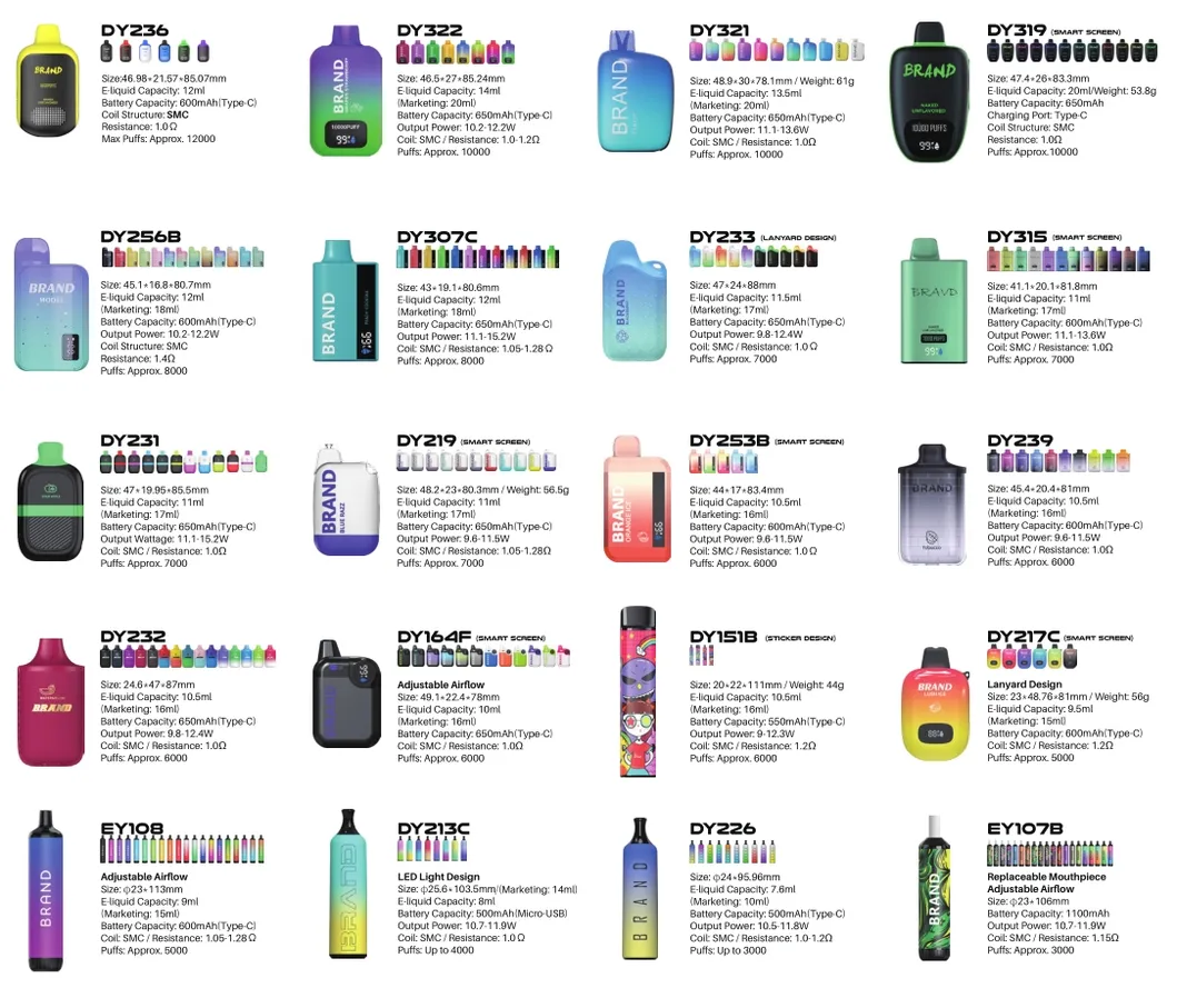 40ml E-Liquid Mesh Coil 60000 Puffs Bang Blaze Shisha 60K Rechargeable Disposable Big Smoke Vape Device