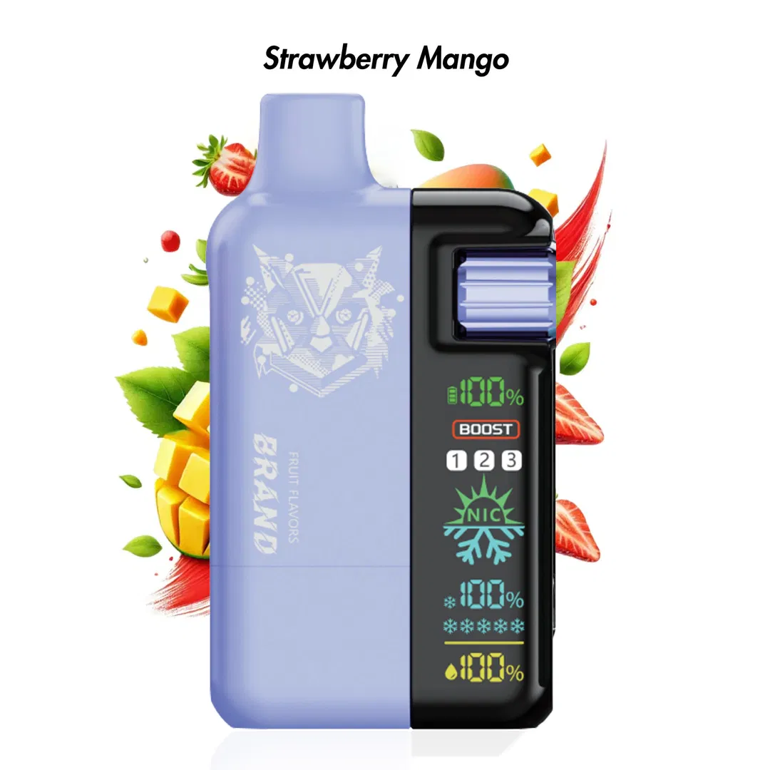 E-Cigarette Replaceable Disposable 30000 30K Puff Pod Vape 10000mAh Rechargeable Device