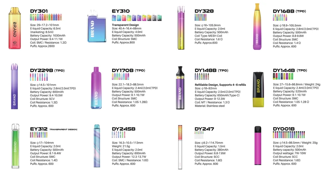 40ml E-Liquid Mesh Coil 60000 Puffs Bang Blaze Shisha 60K Rechargeable Disposable Big Smoke Vape Device