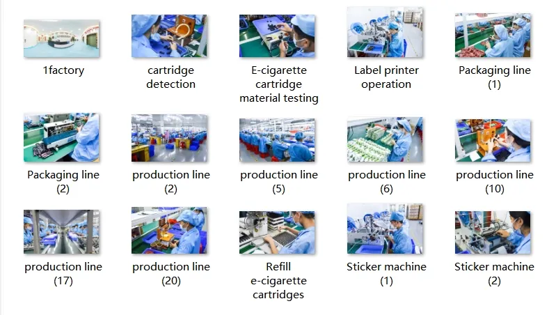 Factory Assembly Production Line