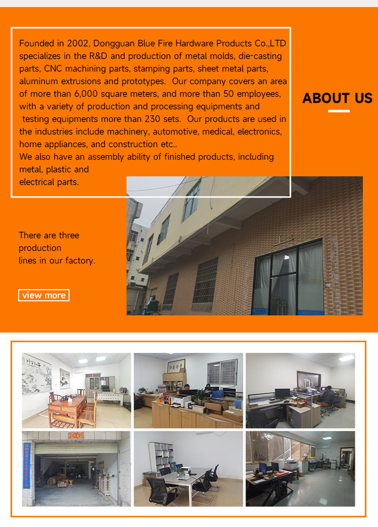 Company overview