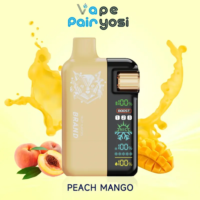 E-Cigarette Replaceable Disposable 30000 30K Puff Pod Vape 10000mAh Rechargeable Device