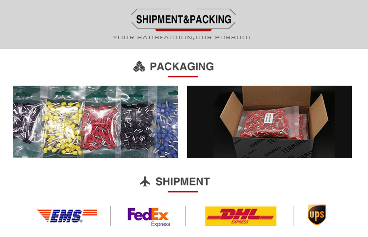 Packaging and Shipping Setup