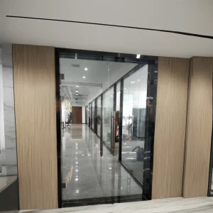 Entrance Front Used clear Anodized Aluminium Insulated Luxury Pivot Swing Glass Door with Smart Lock and Big Handle