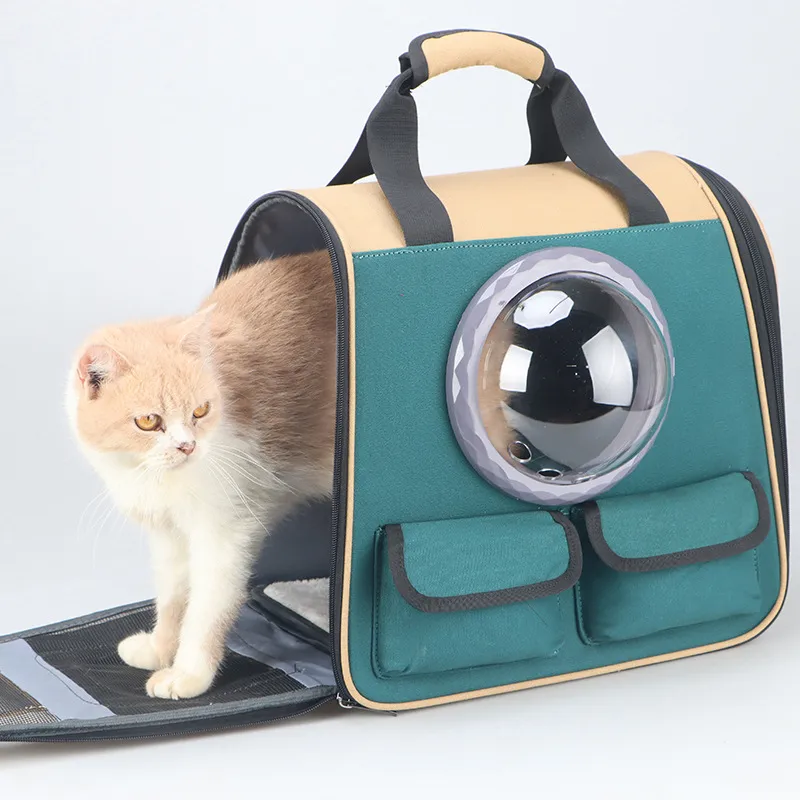 Mochila de transporte 2