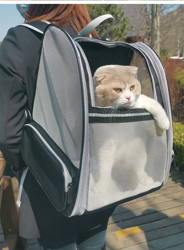 Mochila Transportadora 9
