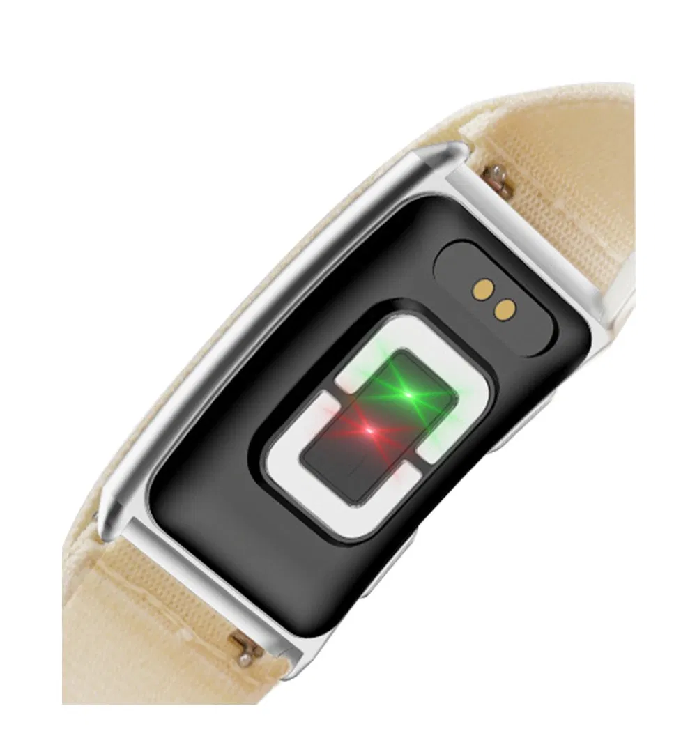 D04 Bracelete Inteligente Sem Tela ECG Com Longos Dias de Espera IP67 Carregamento Magnético à Prova d'Água