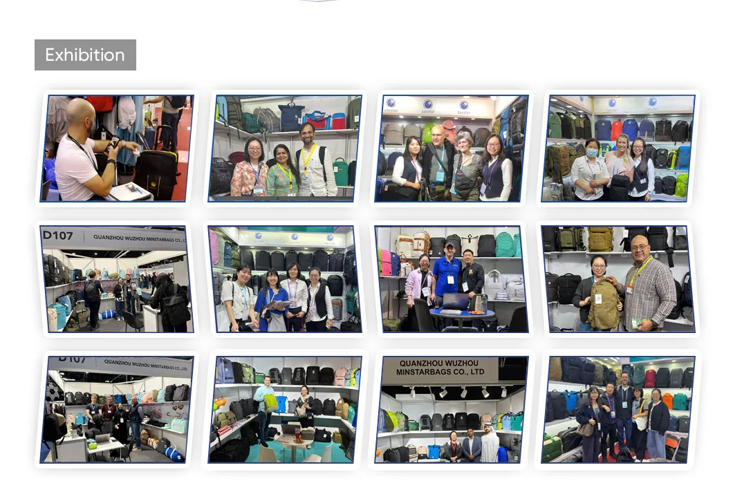 Exposições globais