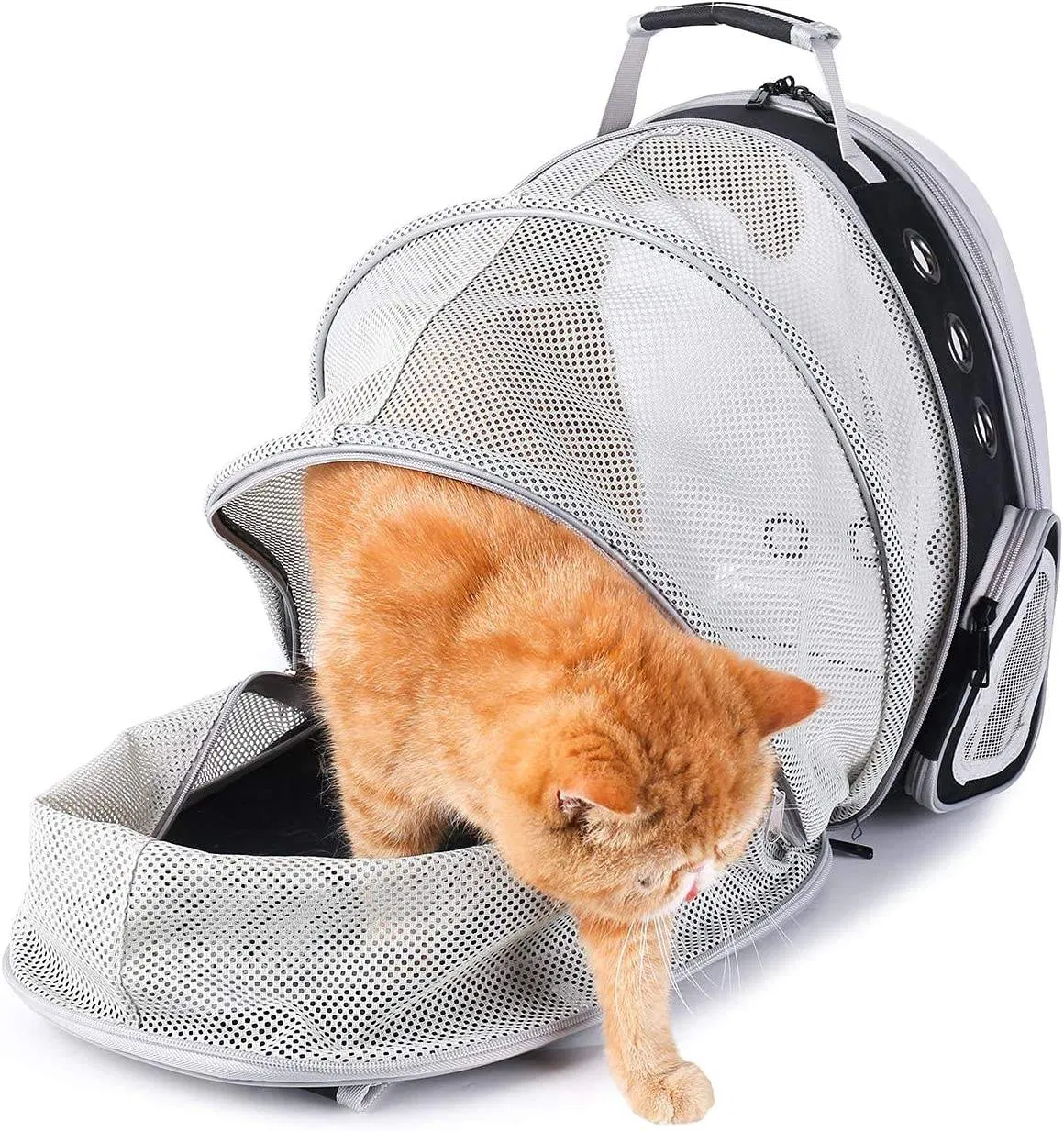 Mochila transportadora para gatos com cápsula espacial transparente