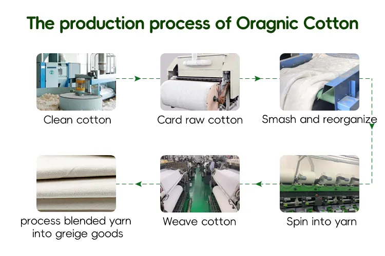 Material Eco 2