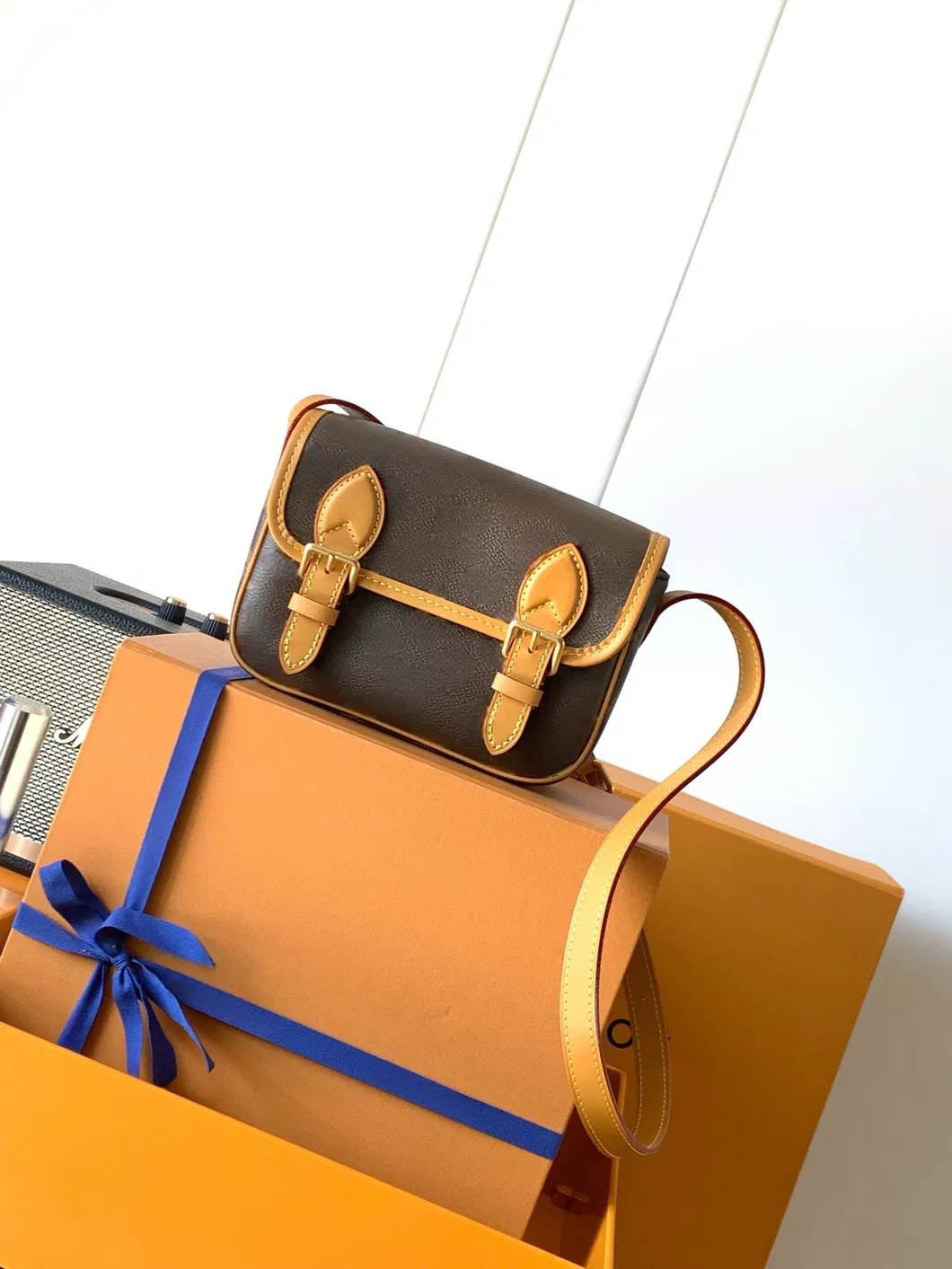 Bolso de diseño 4