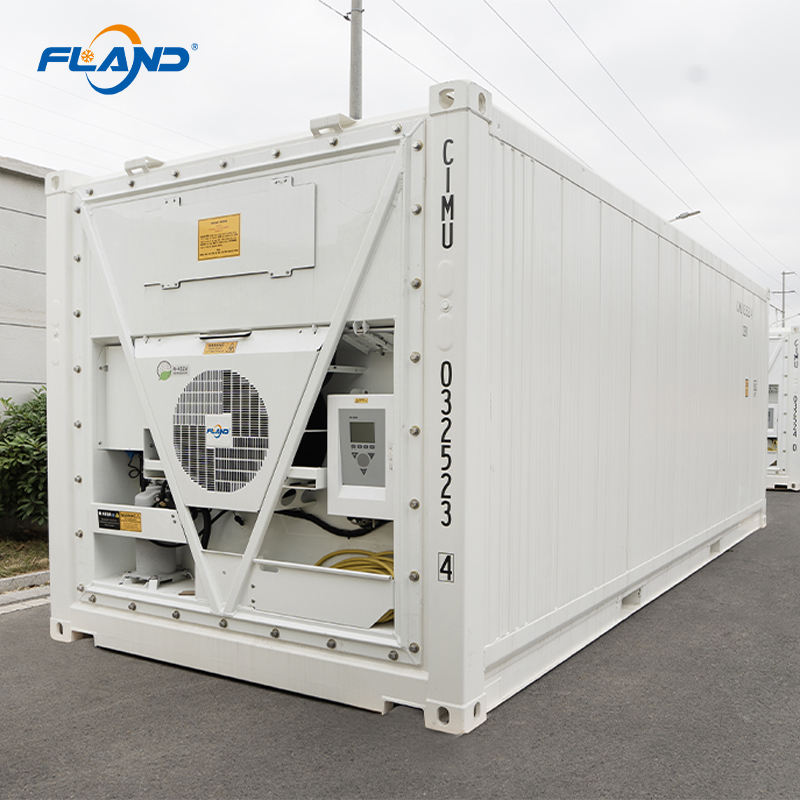 Hybrid Energy Reefer Container Cold Room Storage Solar Power Blast Chiller Freezer Copeland Emerson 20FT/40FT Sizes Cloud Panel