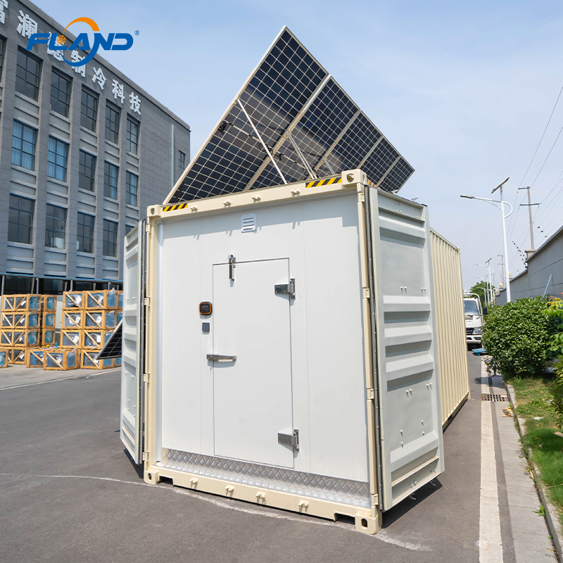 Hybrid Energy Reefer Container Cold Room Storage Solar Power Blast Chiller Freezer Copeland Emerson 20FT/40FT Sizes Cloud Panel
