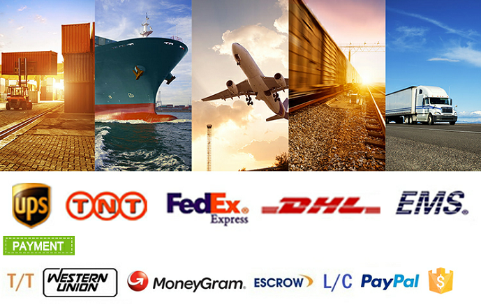 Shipping and Logistics