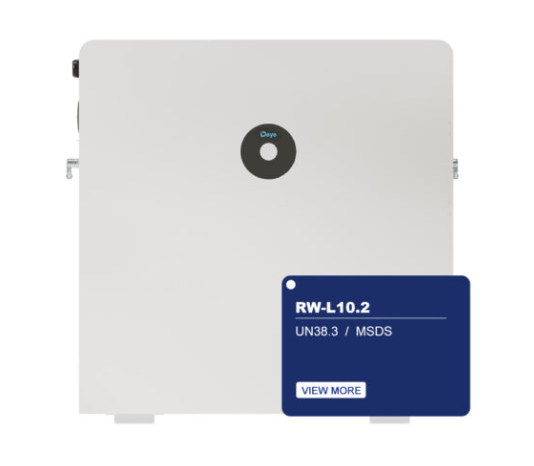 Deye RW-L10.2
