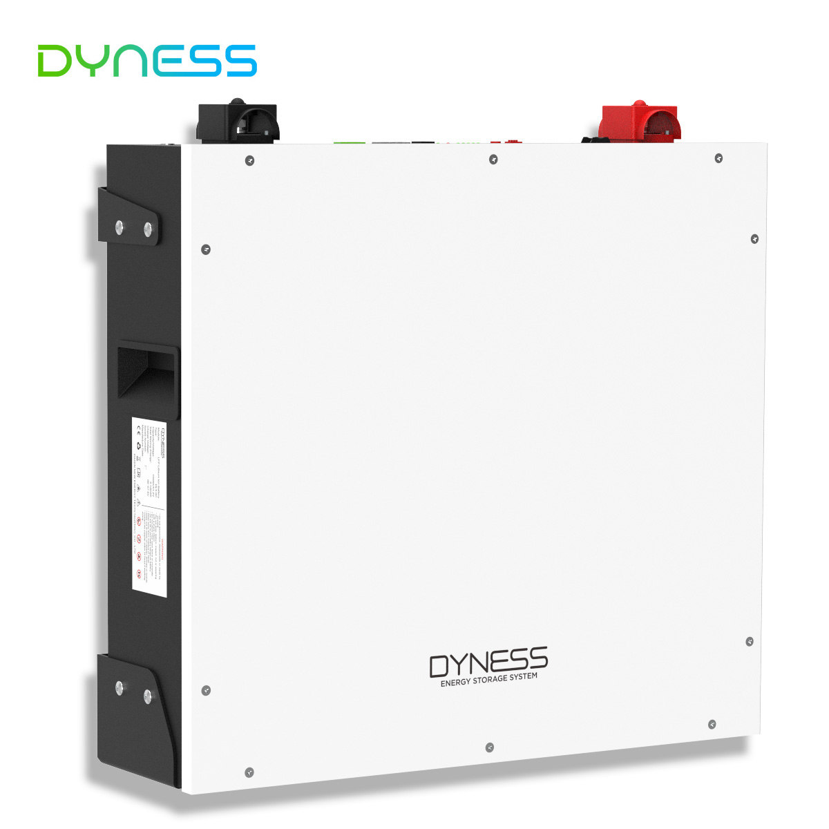 Dyness DL5.0C 10 Year Warranty 19 Inches 51.2V 100Ah 50pcs Parallel 5KWH-250KWH Rack Power Container Home Energy Storage