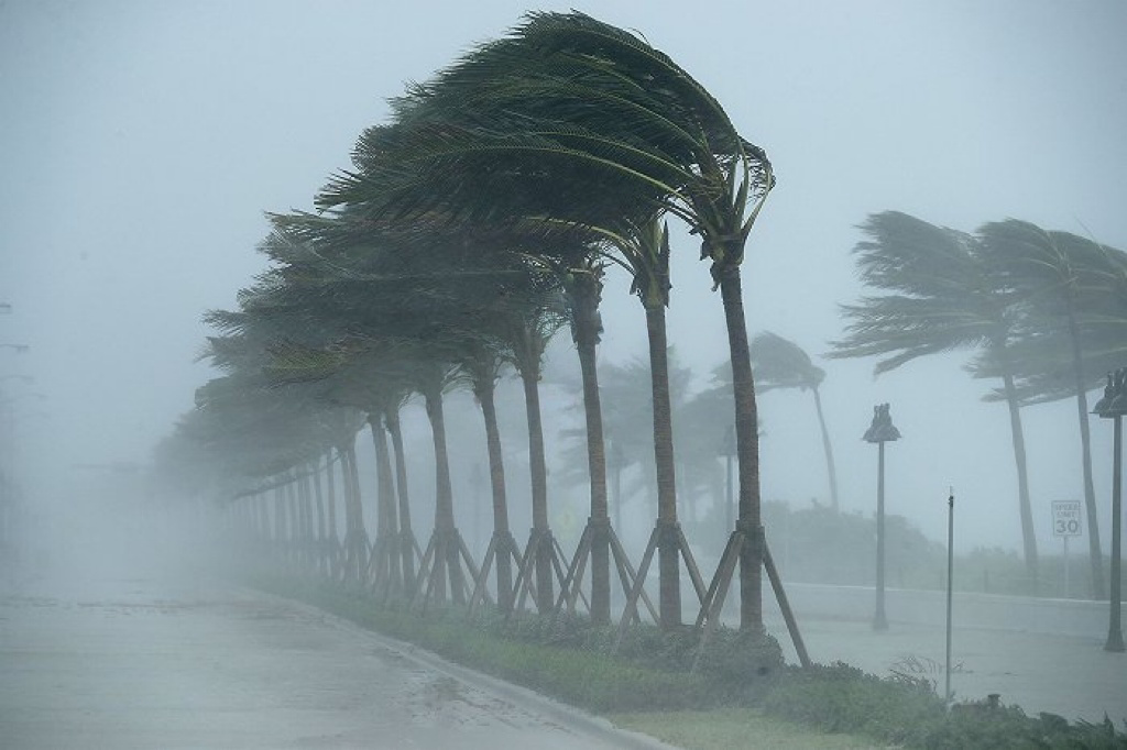 Resistant to the wind