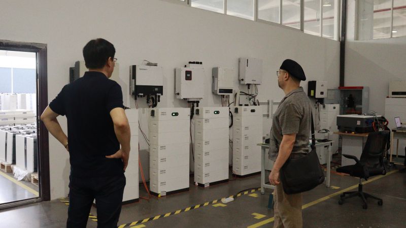 Distributor Visit 3