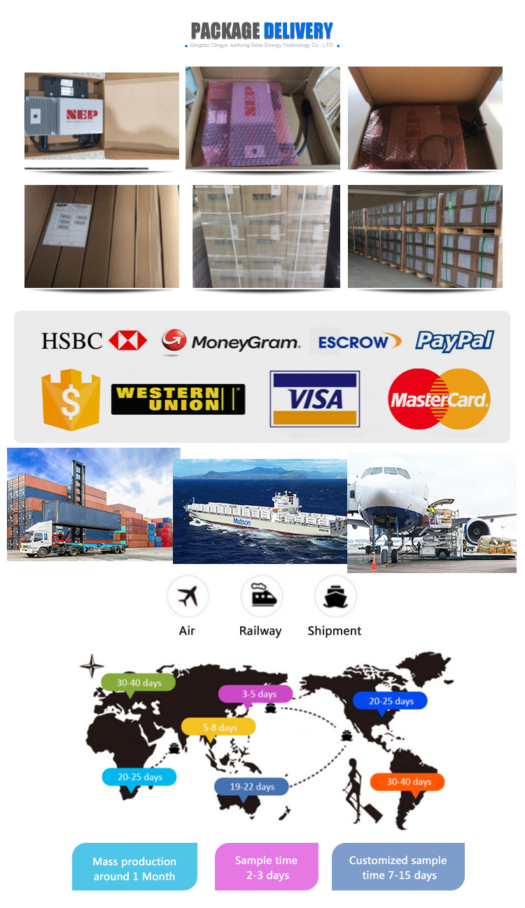 Shipping and Payment Details