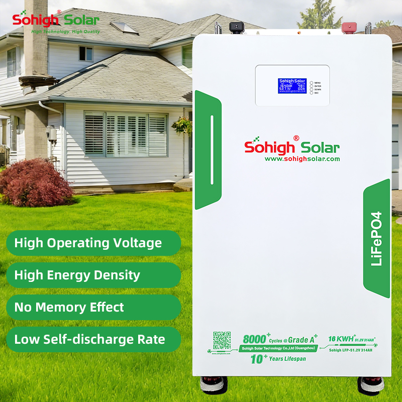 High Quality Longer Lifetime LiFePO4 314Ah 51.2V 16kWh Lithium Battery BMS for Hybrid Wall-Mounted Residential Solar Energy