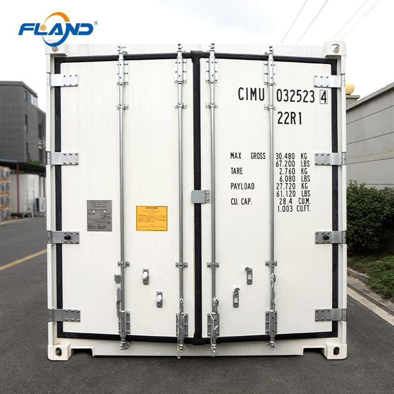 Hybrid Energy Reefer Container Cold Room Storage Solar Power Blast Chiller Freezer Copeland Emerson 20FT/40FT Sizes Cloud Panel