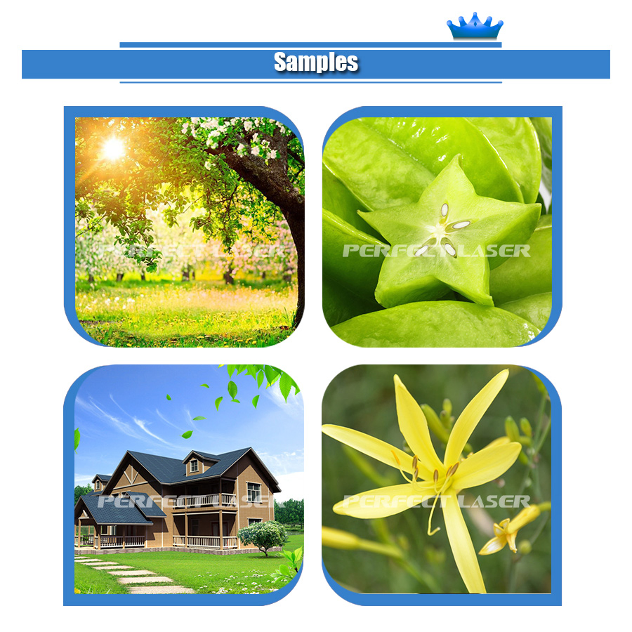 Perfect Laser 3D Glass Rice Paper Canvas Home Decoration Direct to Wall Decal Printer Printing Machine