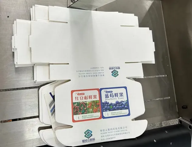 Adjustable Collector