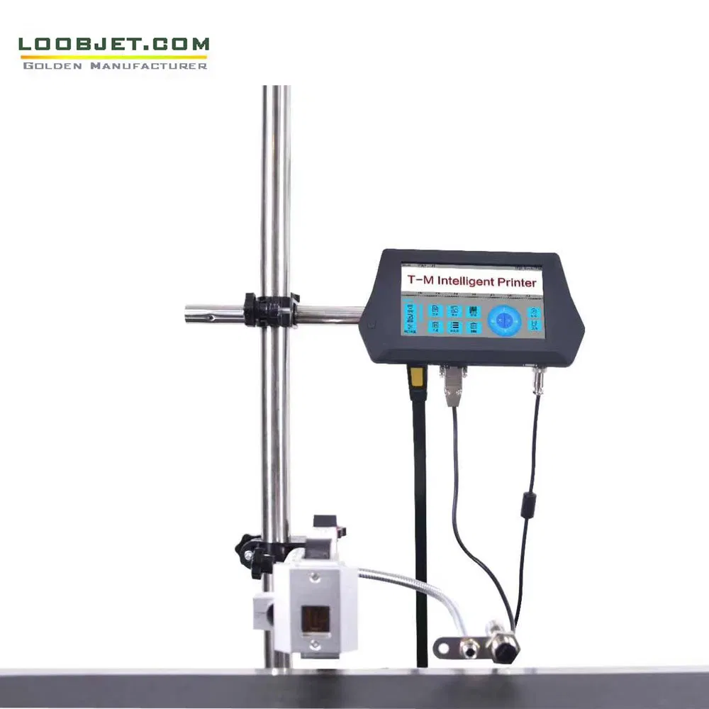 Marking Packaging Systems for Printing Variable Information