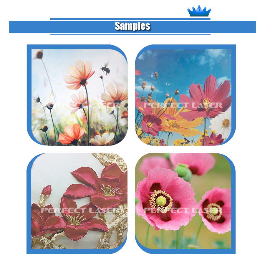 Perfect Laser 3D Glass Rice Paper Canvas Home Decoration Direct to Wall Decal Printer Printing Machine