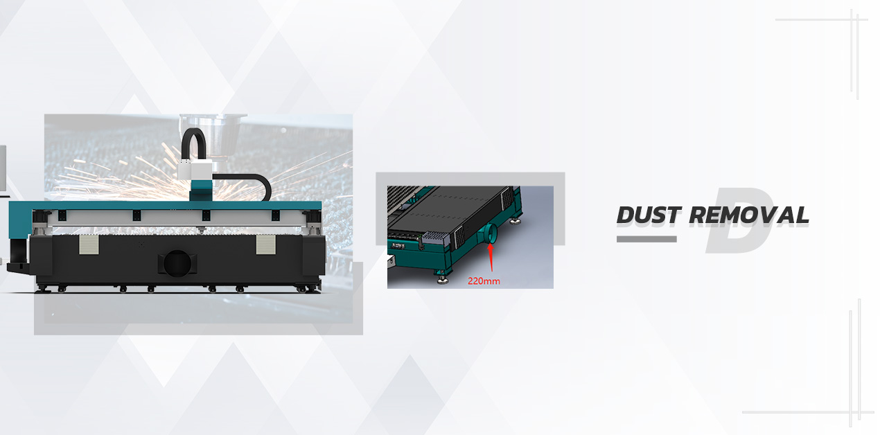 Dust removal system