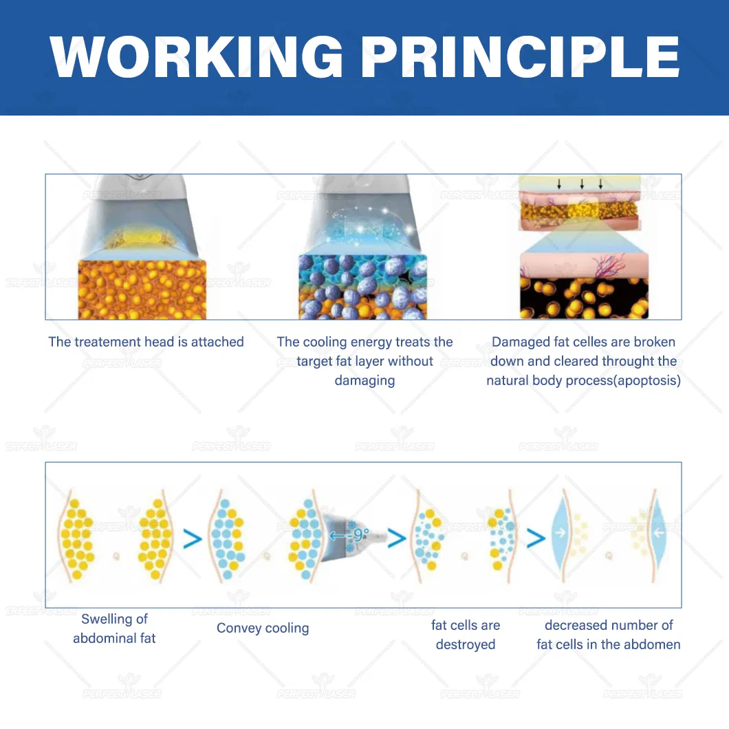 Treatment Principle Diagram
